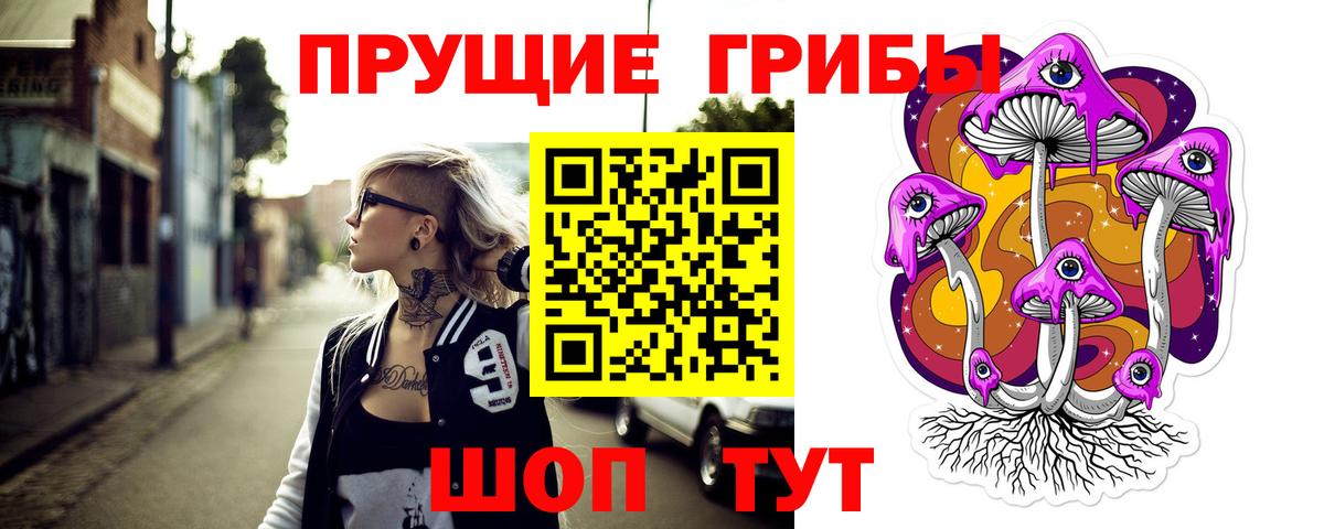 Галлюциногенные грибы Cubensis Зеленокумск